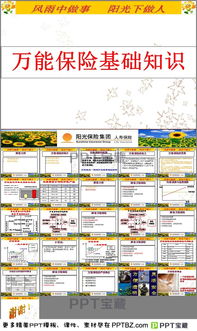 找保險基礎(chǔ)知識ppt