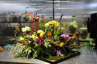 花藝教學(xué)教程,花藝在線教程,玫瑰花花藝教程