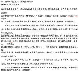 小學(xué)教師資格證基礎(chǔ)知識(shí)的作文