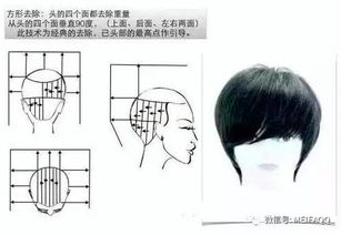 沙宣美發(fā)基礎(chǔ)理論知識(shí)九個(gè)