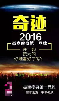 瘦瘦包基礎(chǔ)知識