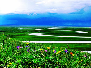 綜合基礎(chǔ)知識和綜合應(yīng)用能力,綜合基礎(chǔ)知識考試題型,重慶綜合基礎(chǔ)知識