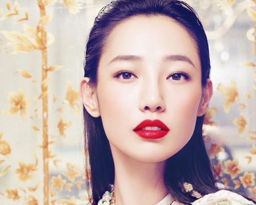 宮主瑞麗斯基礎(chǔ)知識