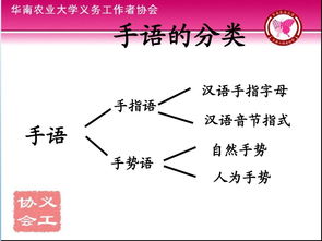 漢語的基礎(chǔ)知識,漢語基礎(chǔ)知識考試試題,小學(xué)漢語基礎(chǔ)知識