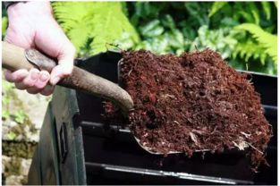 有機肥和無機肥的區(qū)別,有機肥和無機肥的優(yōu)缺點,什么是有機肥和無機肥