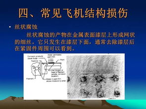 飛機(jī)維修基礎(chǔ)知識(shí),飛機(jī)駕駛基礎(chǔ)知識(shí),航模飛機(jī)設(shè)計(jì)基礎(chǔ)知識(shí)