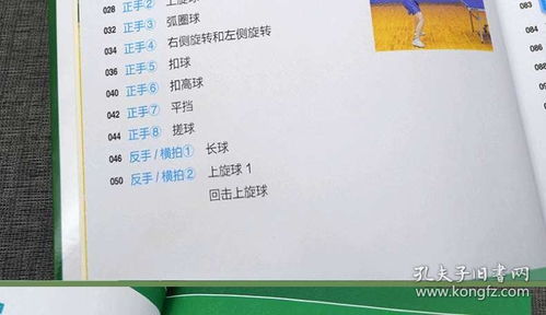 乒乓球,基礎知識,試卷