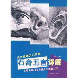 石膏五官基礎理論知識