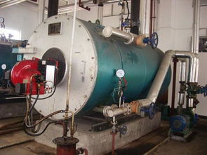 燃氣導熱油鍋爐的基礎(chǔ)知識