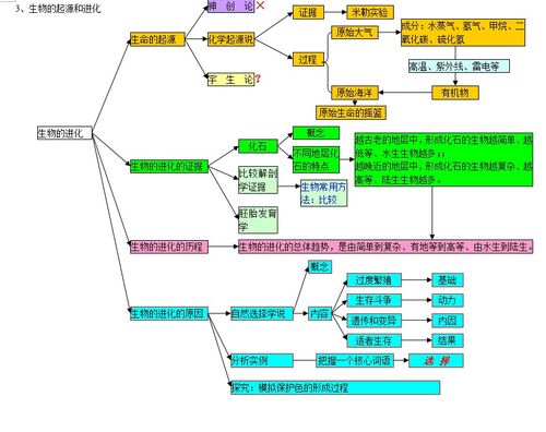 基礎知識,思維,初中生物