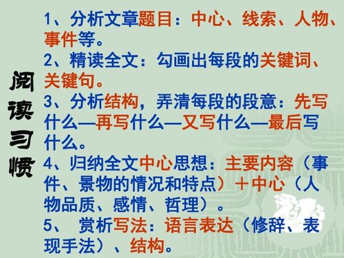 散文的基礎(chǔ)知識與答題技巧