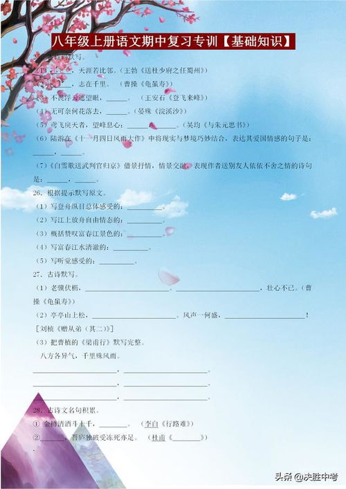 八級(jí)拼音基礎(chǔ)知識(shí)