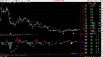 法路基礎(chǔ)知識問答題