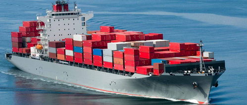 國考長江航運公安考公安基礎知識嘛