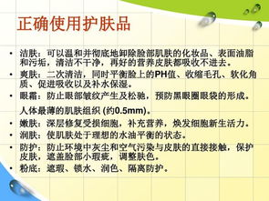 基礎(chǔ)知識(shí)皮膚