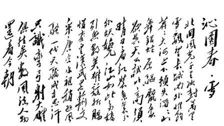 沁園春雪基礎知識