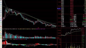 理論知識(shí),入門,基礎(chǔ),股票