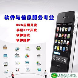 軟件與信息服務(wù)專業(yè)基礎(chǔ)知識(shí)